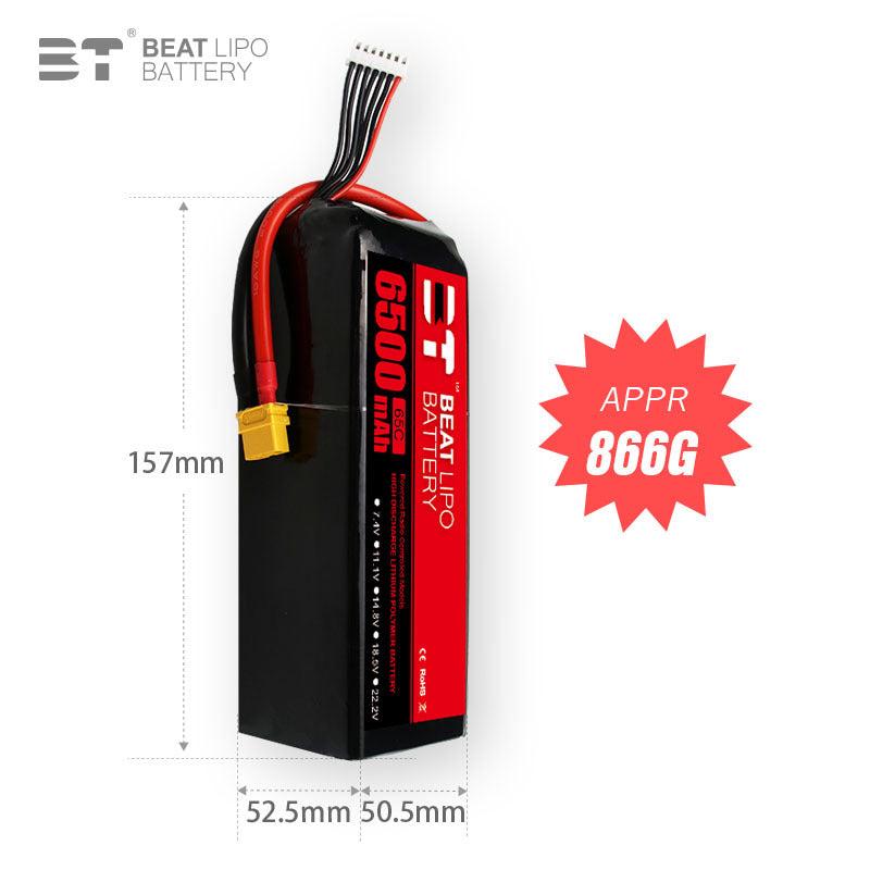 6500mAh 6S 22.2V /65C/